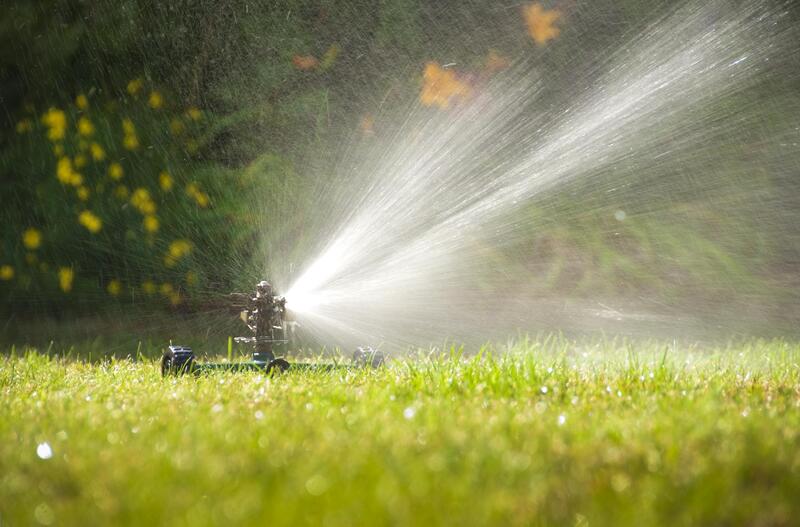 a sprinkler spraying a green lawn in the sun